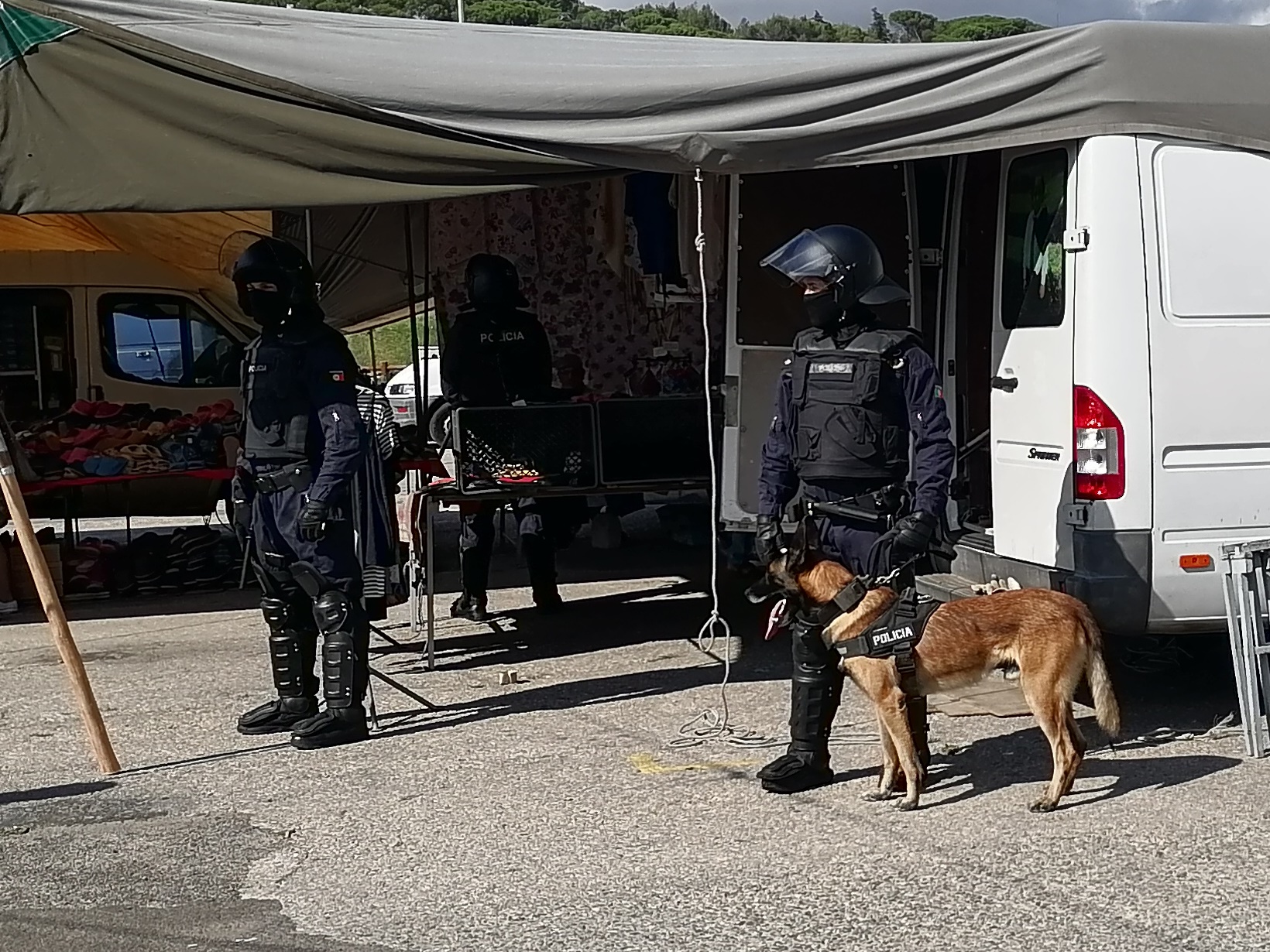 Operação policial contra a contrafação no mercado semanal de Tomar c