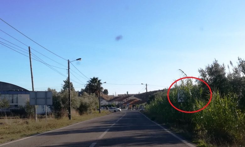 Que terra é esta? IMG 20191003 173347 1 Copy