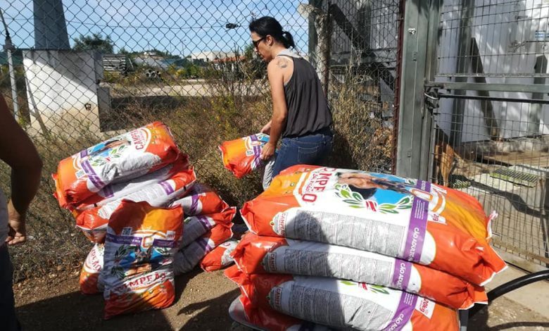 PetMaxi oferece 500 quilos de ração à APAT petmaxi 22 4084770913633959936 n