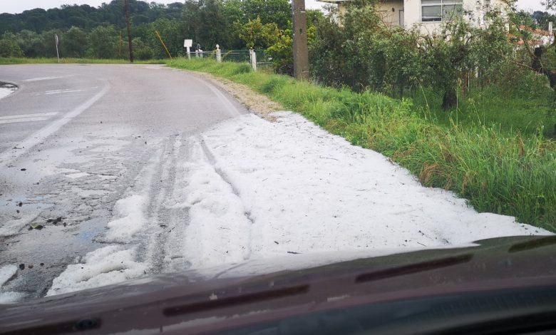 Granizo pintou de branco algumas zonas do concelho de Tomar (c/ fotos e vídeos) granizo cem soldos IMG 20200412 173914