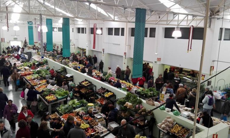 Maioria PS na câmara rejeita abertura a vendedores de hortícolas para plantar mercado 3558168412810173415 n