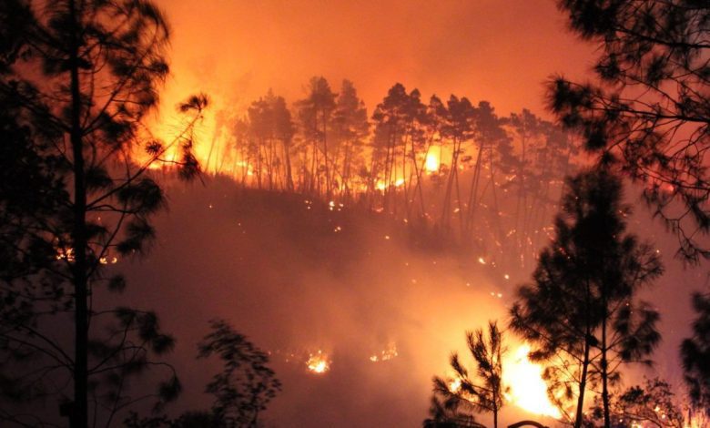 Trovoada provoca incêndio em Ferreira do Zêzere incendio noite IMG 0575 630x420 1