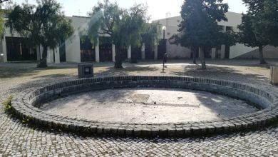 biblioteca IMG 20200312 160931