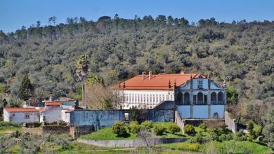 quinta da granja foto carlos silva 375 2524757818708328448 o