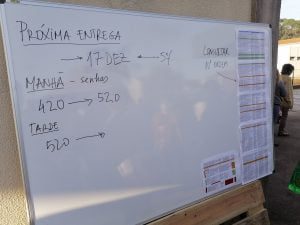 caritas pobreza IMG 20201119 083958