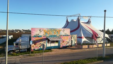 circo IMG 20201121 081116
