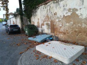 lixo IMG 20201101 073648