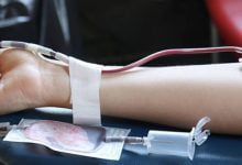 sangue