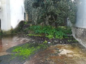 palacio alvim IMG 20201219 131652