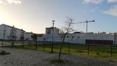 parque canino caes IMG 20201208 083735