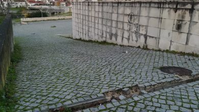 perigo IMG 20201208 081921