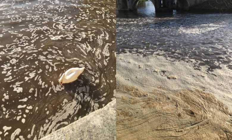 Poluição no rio Nabão: a denúncia de um cidadão poluicao rio IM3465