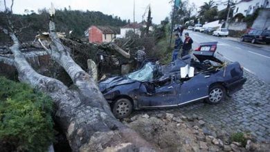 tornado img 920x5182010 12 07 16 24 00 582465