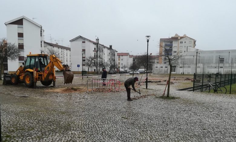Alerta de “Tomar na Rede” foi acolhido pela câmara arvores