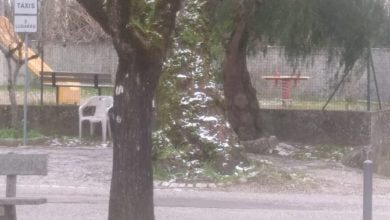 neve 766 4700759773837849758 o