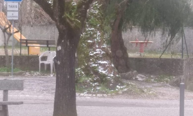 Cai neve em Tomar (c/ fotos e vídeos) neve 766 4700759773837849758 o