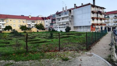 Forum IMG 20201220 085327