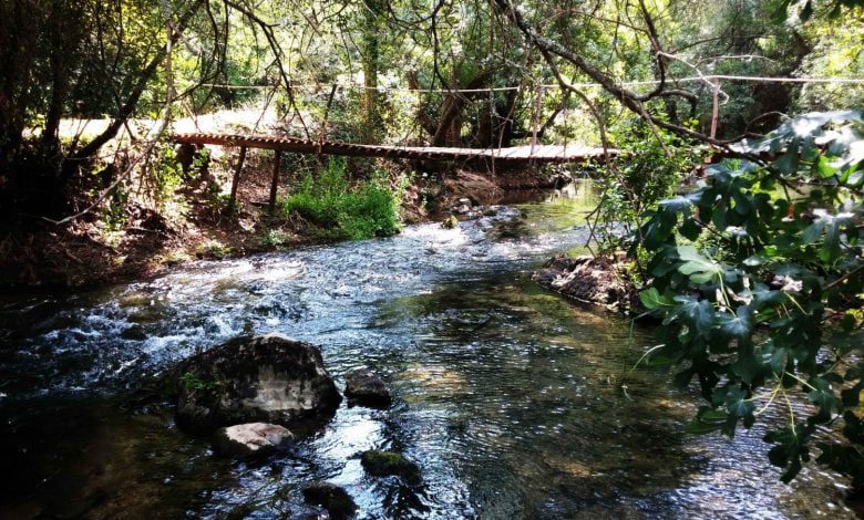 Passadiço de madeira sobre o rio Nabão levado pelas águas ponte lapas 20180908 142321 scaled 1