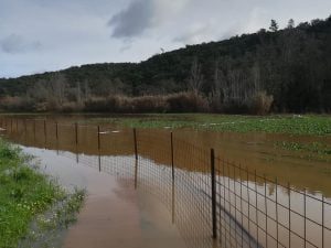 rio passadico 720198 6241050532391369381 n