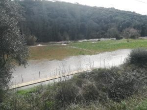 rio passadico 720244 6255400107321934573 n
