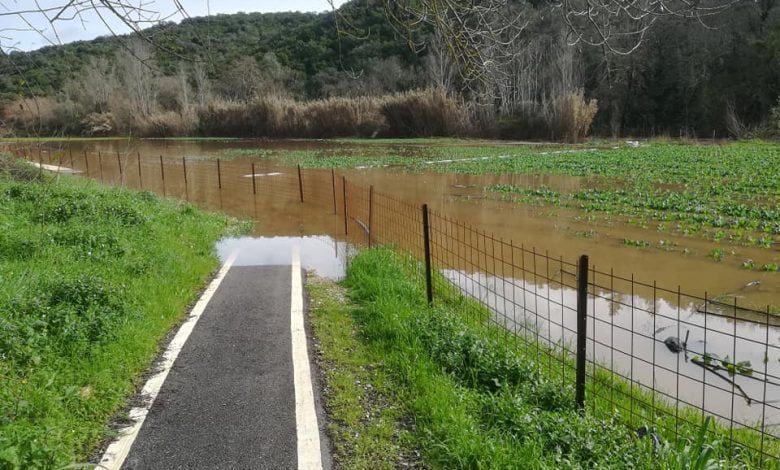 Rio Nabão galgou margens e submergiu parte do passadiço do Prado rio passadico 846 2135988933851465374 n