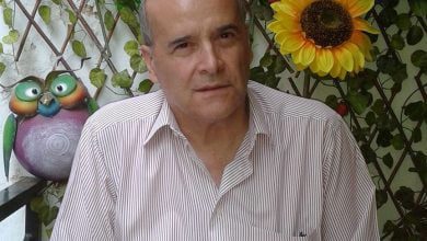 Fernando Caldas Vieira