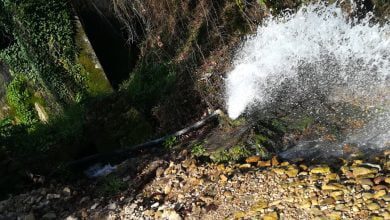 IMG 20210214 092838