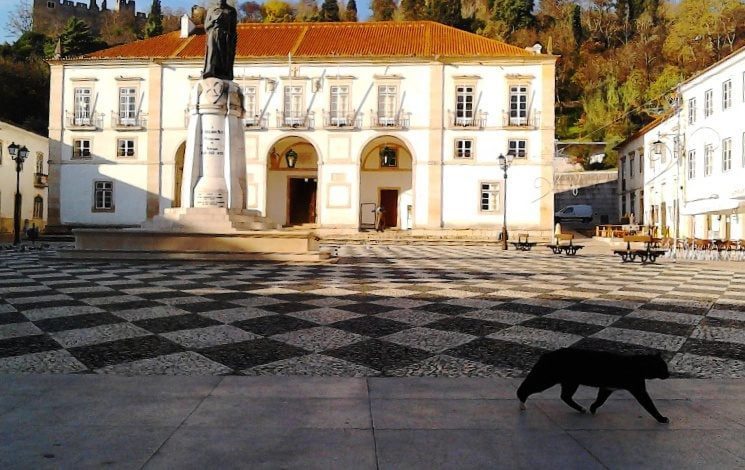 Incoerência ou hipocrisia camara gato IMG 20141204 104756
