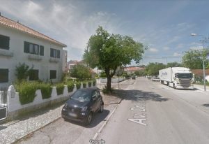 arvore bairro 2