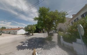 arvore bairro