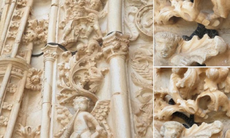 Uma cobra no portal manuelino do Convento de Cristo (c/ fotos e vídeo) cobra