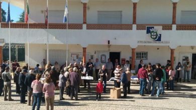 olalhas junta 3 6915550862818869032 o