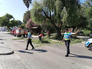 IMG 20210630 170642