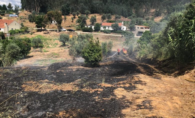 Incêndio no Falagueiro controlado em meia hora incendio 71572 8209889488747777959 n