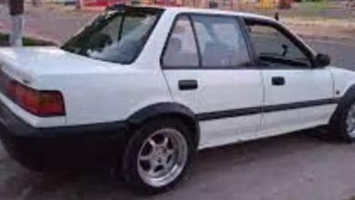 apelo 91606 3790046489382756141 n