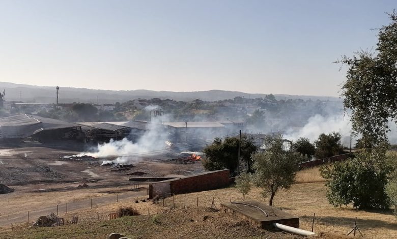 Incêndio na fábrica de paletes: o dia seguinte IMG 20210817 084104