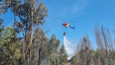 incendio asseiceira 514115084895 4465299796434203160 n