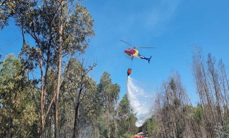 GNR detém suspeito de atear dezenas de fogos na freguesia da Serra incendio asseiceira 514115084895 4465299796434203160 n