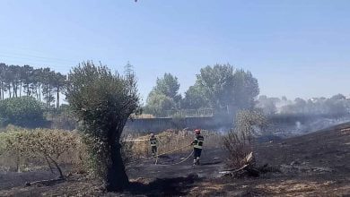 incendio bombeiros 2440 5869769052019542271 n
