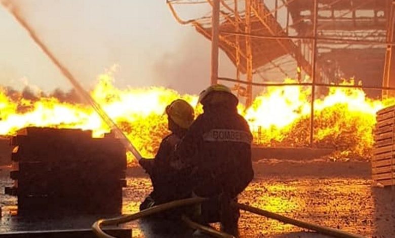 Fábrica de paletes vai renascer das cinzas incendio paletes 463 1646355578421832998 n
