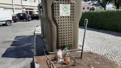 oleao IMG 20210810 111545