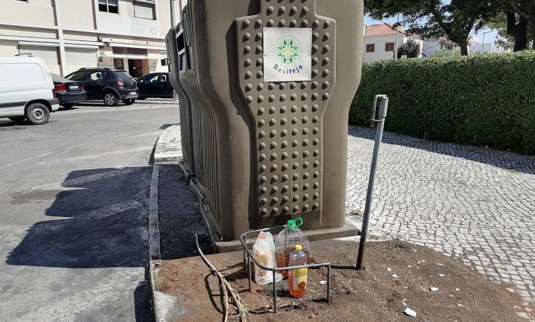 oleao IMG 20210810 111545