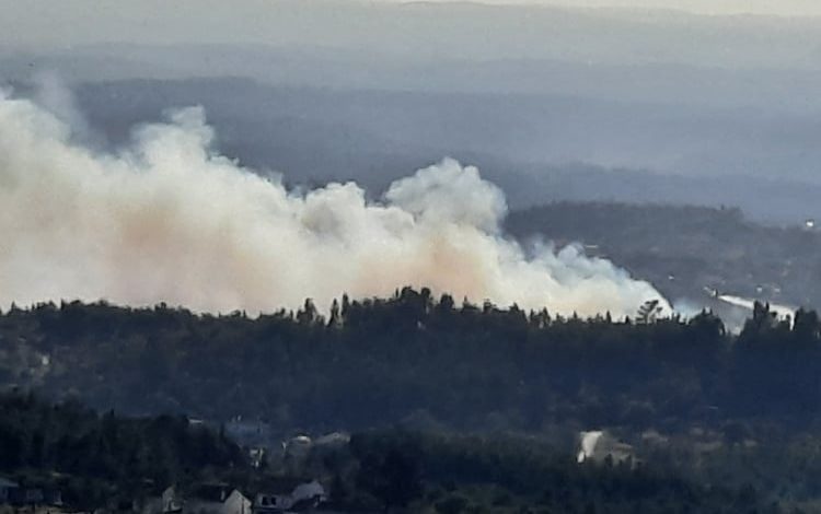 Incêndio em Alviobeira mobiliza mais de 120 bombeiros incend 319275 4496552033878239644 n