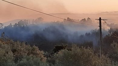 incendio ana ramos 2787239837 1109610450095956063 n