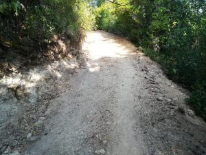 mata raizes IMG 20210901 084311