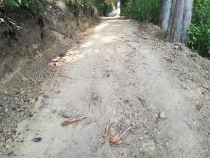 mata raizes IMG 20210901 084336