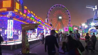 feira faro