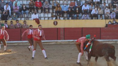 forcados 7845435 5007119389179161299 n
