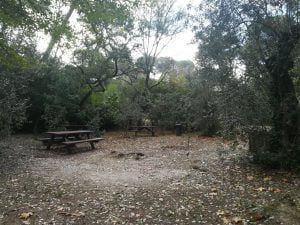 mata IMG 20211016 093937