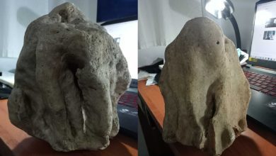 gruta 2image b